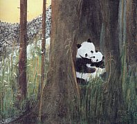 Pandabären